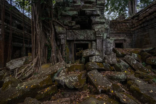 Prasat Ta prohm tapınağı, Siem biçmek, Kamboçya