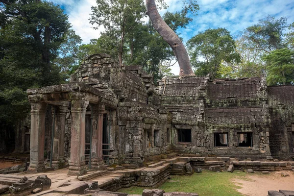 普拉萨塔普罗姆神庙，在暹粒，柬埔寨 — 图库照片