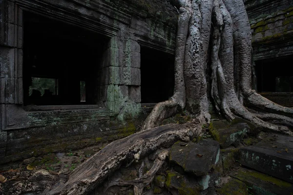 Templo Prasat Preah Khan, en Siem Reap, Camboya — Foto de Stock