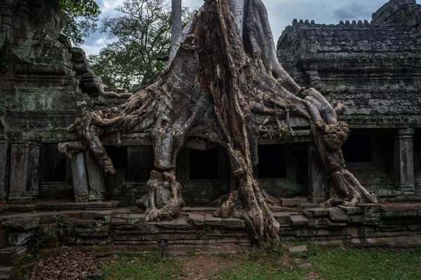 Templo Prasat Preah Khan, en Siem Reap, Camboya — Foto de Stock