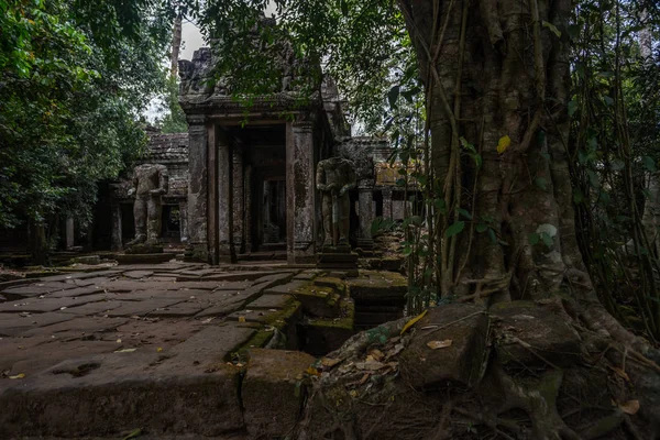 Templo Prasat Preah Khan, em Siem Reap, Camboja — Fotografia de Stock