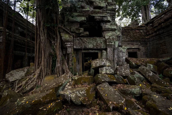 普拉萨塔普罗姆神庙，在暹粒，柬埔寨 — 图库照片