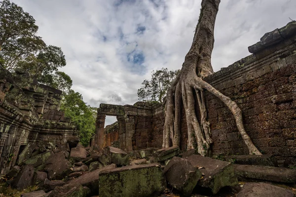 Templo Prasat Preah Khan, en Siem Reap, Camboya — Foto de Stock