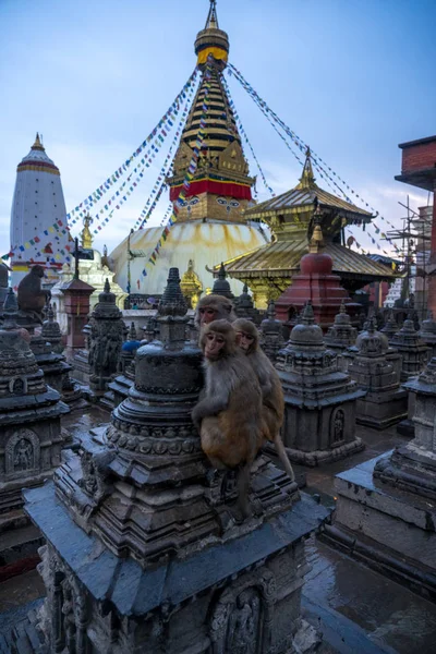 Swayambhunath Tempel is een oude religieuze architectuur in nep — Stockfoto