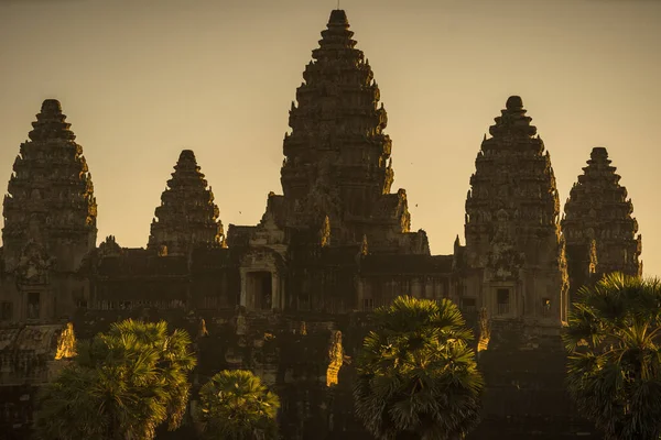 Salida Del Sol Templo Angkor Wat Siem Reap Camboya —  Fotos de Stock