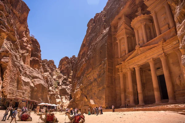 Kameler Framför Finansdepartementet Petra Den Antika Staden Khazneh Jordanien — Stockfoto