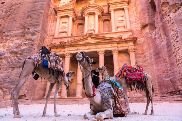 Верблюды перед казначейством в древнем городе Аль-Хазна в Иордании