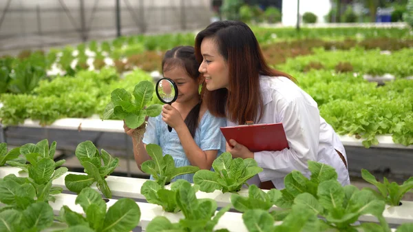 Asian woman and girl learning to grow organic vegetables in the farm