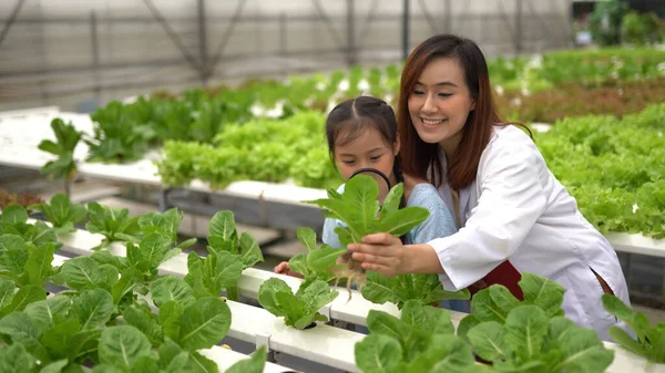 Aziatische Vrouw Meisje Leren Biologische Groenten Telen Boerderij — Stockfoto