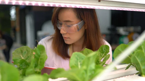 Asian woman science researching in hydro farm