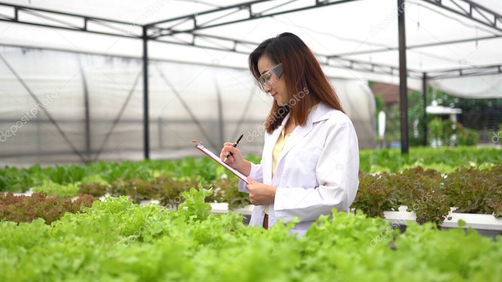 Asian woman science researching in hydro farm