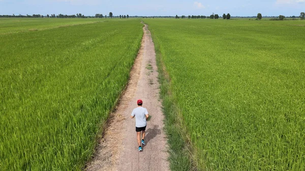 Vista Aérea Joven Asiático Deportes Hombre Corriendo Verde Campo — Foto de Stock