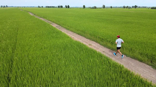Letecký Pohled Mladé Asijské Sportovní Muž Běží Zelené Louce — Stock fotografie