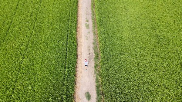 Aerial view of young asian sports man running on green field