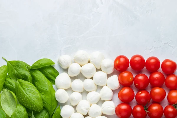 Italian flag made with Tomato Mozzarella and Basil. The concept of Italian cuisine on a light background. Top view with copy space. Flat lay.