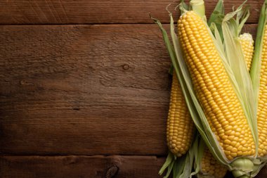 Taze mısır koçanı üzerinde rustik ahşap masa, closeup üzerinde. Kopya alanı ile üstten görünüm.