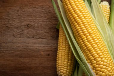 Taze mısır koçanı üzerinde rustik ahşap masa, closeup üzerinde. Kopya alanı ile üstten görünüm.