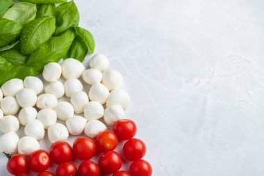 İtalyan bayrağı domates Mozzarella ve fesleğen ile yapılır. Hafif bir arka plan üzerinde İtalyan mutfağı kavramı. Üstten görünüm kopya alanı ile. Düz yatıyordu