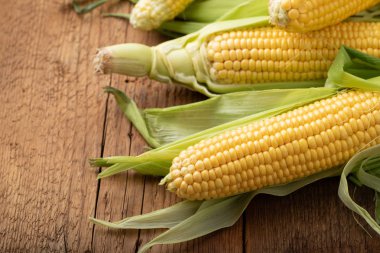 Taze mısır koçanı üzerinde rustik ahşap masa, closeup üzerinde. kopya alanı ile