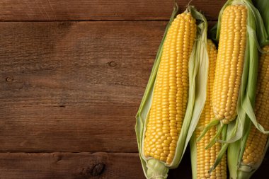 Taze mısır koçanı üzerinde rustik ahşap masa, closeup üzerinde. Kopya alanı ile üstten görünüm.