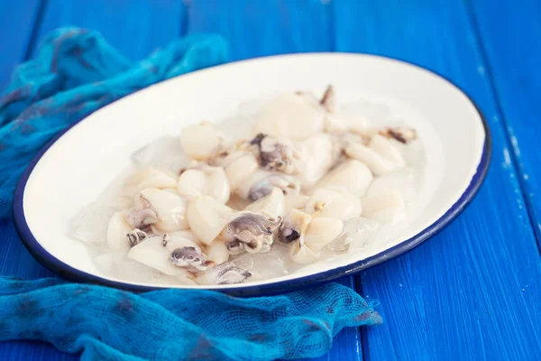 Fresh Cuttlefish Ice Dish — Stock Photo, Image