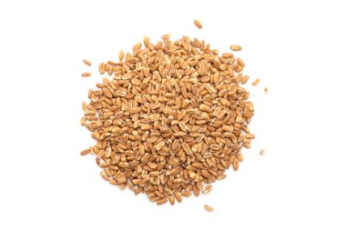 Beyaz arka plan üzerinde spelt