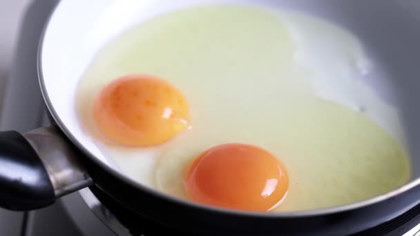 Жарящие Яйца Сковороде — стоковое видео
