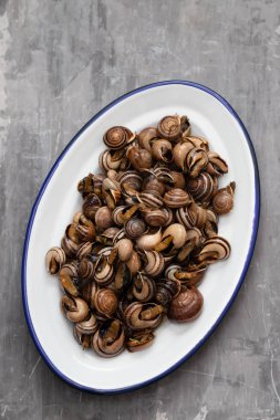 seramik arka plan üzerinde beyaz çanak otlar ile haşlanmış salyangoz