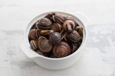 seramik arka plan üzerinde beyaz çanak otlar ile haşlanmış salyangoz