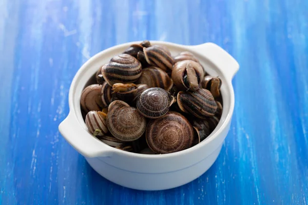 Gekochte Schnecken mit Kräutern in weißer Schale — Stockfoto