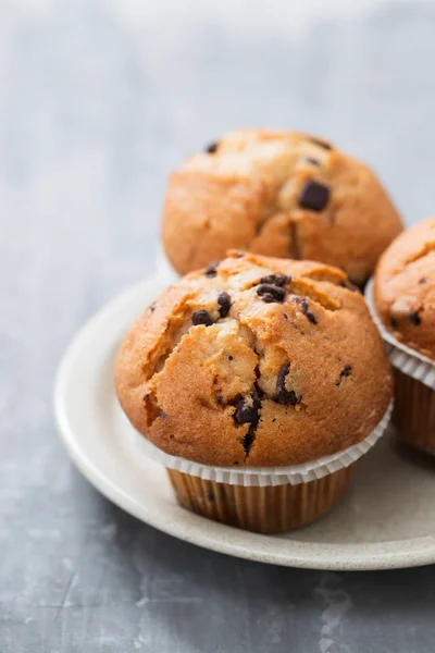 Muffins com chocolate no prato branco no fundo cerâmico — Fotografia de Stock