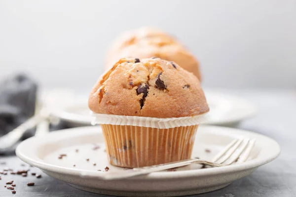 Muffins met chocolade op witte schaal op keramische achtergrond — Stockfoto
