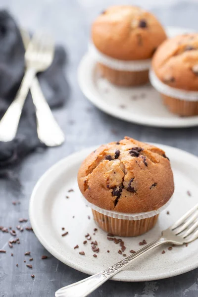 Muffiny s čokoládou na bílé misce na keramickém pozadí — Stock fotografie