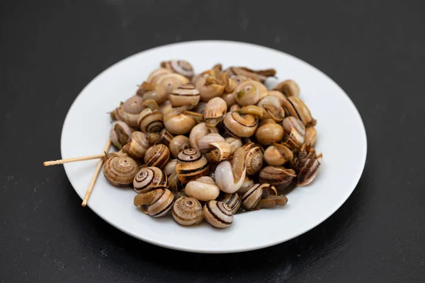 Boiled Snails White Plate Black Ceramic Background — Stock Photo, Image