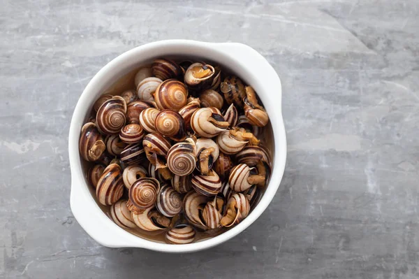 Boiled Snails White Bowl Ceramic Background — Stock Photo, Image