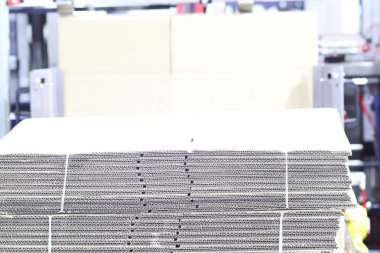 Karton/kutu erector makine konveyör içinde