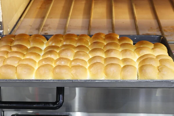 Row of fresh  baking bread from the oven  ; industrial food and drink background