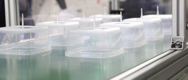  Plastik enjeksiyon makinesinin taşıyıcı bandında polipropilen yiyecek kapları 