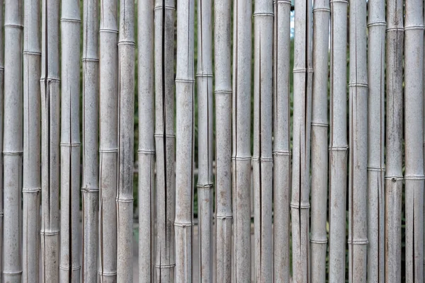 Bamboo wall, Bamboo fence background