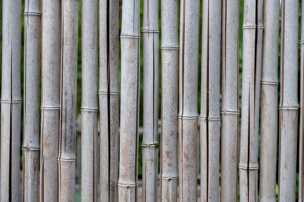 Bambu duvar, bambu çit arka plan
