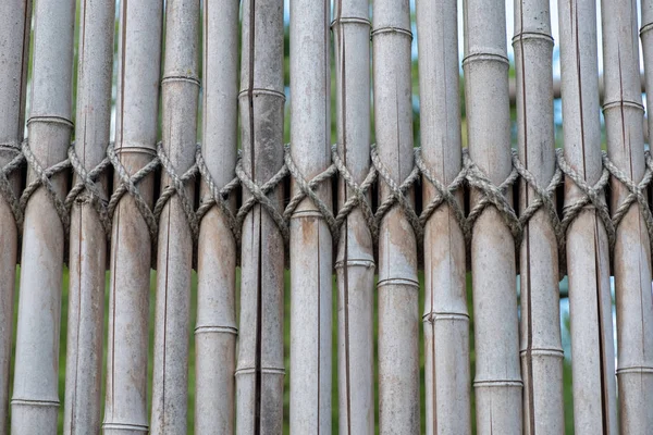 竹の壁 竹フェンス背景 — ストック写真