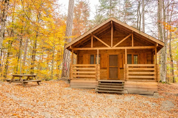 Manzaralı bir ev renkli yeşillik ile sonbaharda