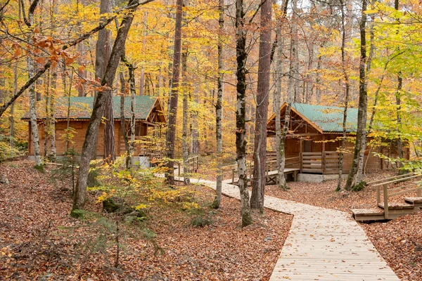 Manzaralı bir ev renkli yeşillik ile sonbaharda