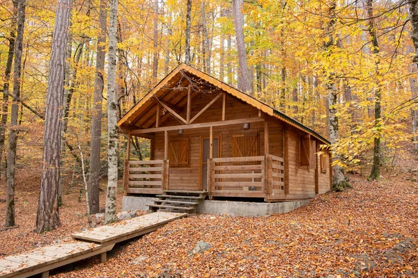 Manzaralı bir ev renkli yeşillik ile sonbaharda