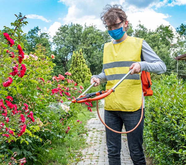 Çiçek bitkilerini mantar hastalıklarından, bahçe işlerinden korumak