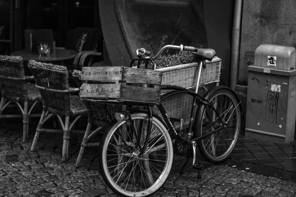 Walking Rainy Maastricht Netherlands — Stock Photo, Image