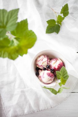 Blackcurrant dondurma yoğurt ve taze blackcurrants