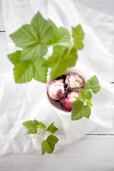 Gelato Ribes Nero Con Yogurt Ribes Fresco — Foto Stock