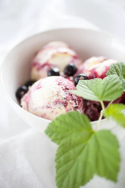 Schwarzes Johannisbeereis Mit Joghurt Und Frischen Schwarzen Johannisbeeren — Stockfoto