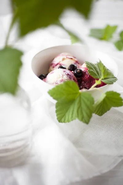 Zwarte Bessen Ijs Met Yoghurt Verse Zwarte Bessen — Stockfoto